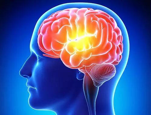 惊人的研究在40天内训练普通人增加两倍的大脑记忆容量！