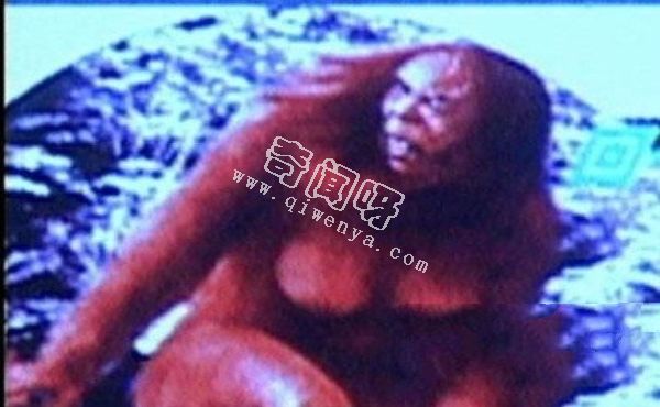 女野人掠男人为夫 揭秘西藏野人之谜