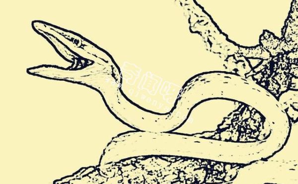 民间鬼故事-蛇仙故事：猎户猎杀黑蛇，享受多年富贵