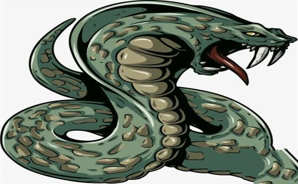 人类怕蛇，只是因为蛇长得恐怖吗？科学家在婴儿身上找到了答案