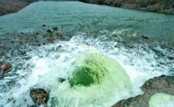 黄河壶口瀑布绿波奔腾，为什么不同河段水体颜色不一