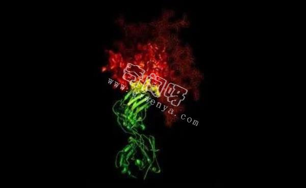 21张微观图像，揭秘各种病毒的真实模样！
