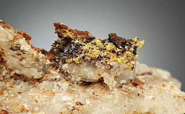 地球科学家解开了超富集金矿脉的神秘形成原因