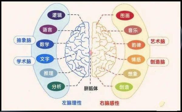 人类走向高级文明，必须改变自己获得永生