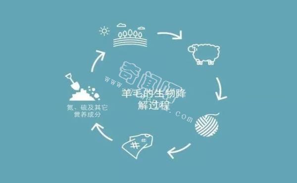 专家说：土葬浪费森林和土地资源