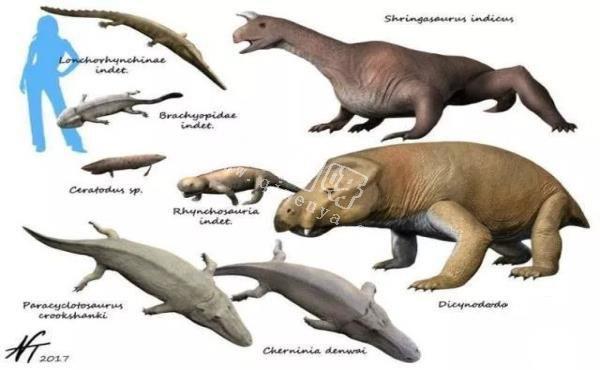 在恐龙刚出现的时代，地球上最大的动物是什么？