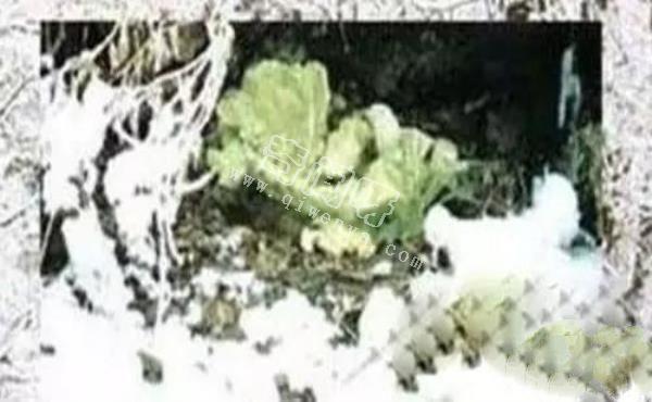 全球最诡异的十大秘境：诡秘幽灵岛