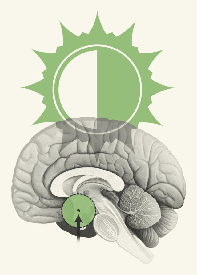 时间是什么?时间之箭:时间的文化、物理、计时和生物学的历史(下)