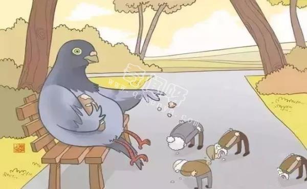 如果人和动物角色互换,动物有多残忍?