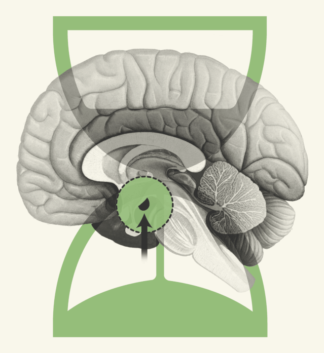 时间是什么?时间之箭:时间的文化、物理、计时和生物学的历史(下)