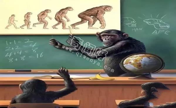 如果人和动物角色互换,动物有多残忍?