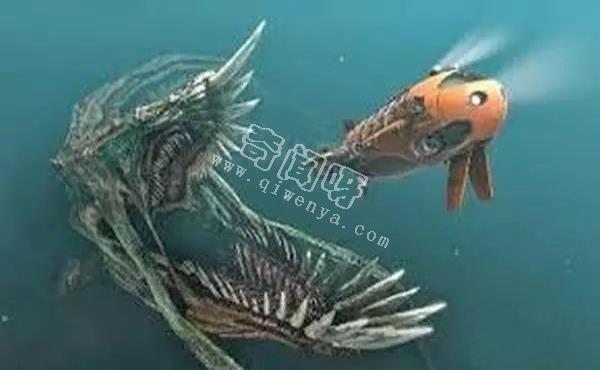 俄罗斯探测器在北极海底遭遇巨型海怪