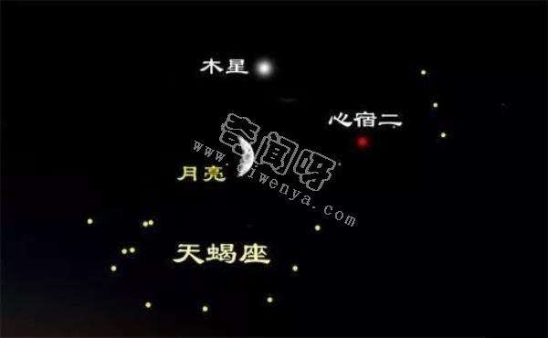 宇宙中最大的星球和太阳对比