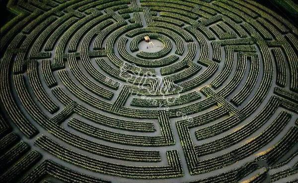 世界上最著名的几个植物迷宫