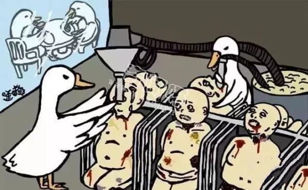 如果人和动物角色互换,动物有多残忍?