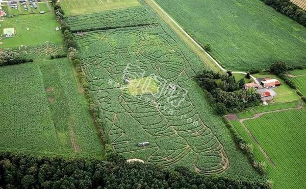 世界上最著名的几个植物迷宫