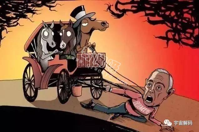 如果人和动物角色互换,动物有多残忍?