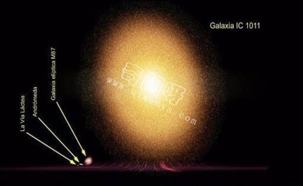 没有对比就没有伤害！最大星系 IC1101超清图