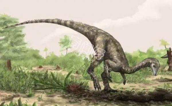 在恐龙刚出现的时代，地球上最大的动物是什么？