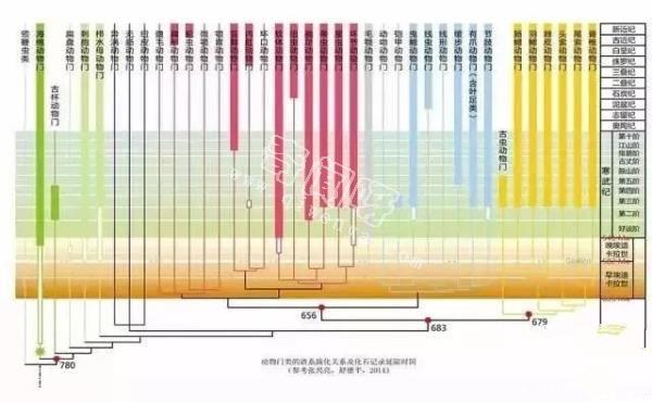 寒武纪生命大爆发——真相不止一个