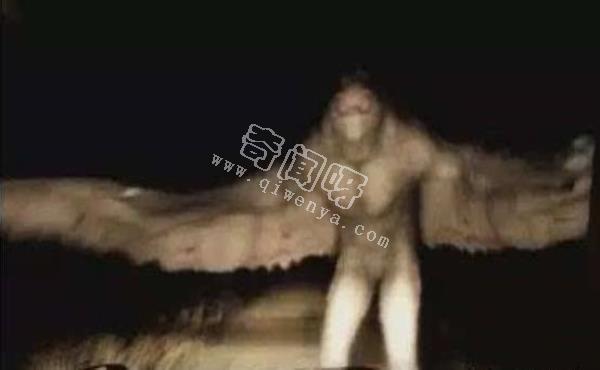 世界未解之谜揭秘 盘点未确认生物体