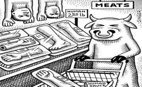 如果人和动物角色互换,动物有多残忍?