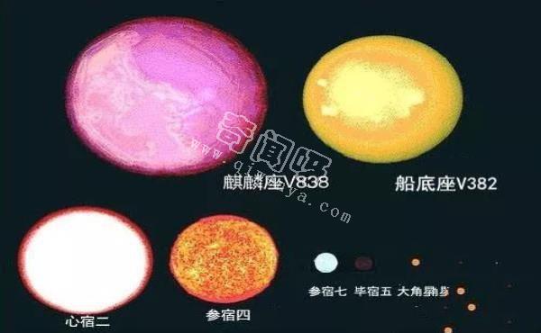 宇宙中最大的星球和太阳对比