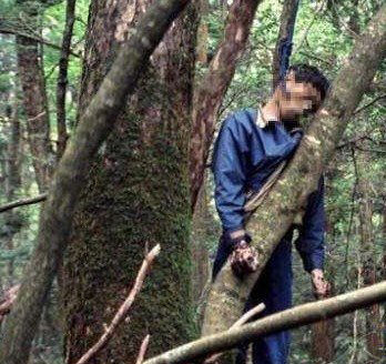 日本500多人选择在同一片森林里自杀之谜