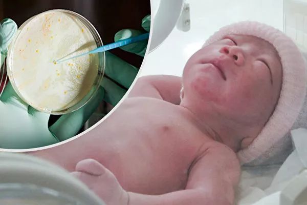 首个基因编辑婴儿引风暴，将带来5大可怕后果