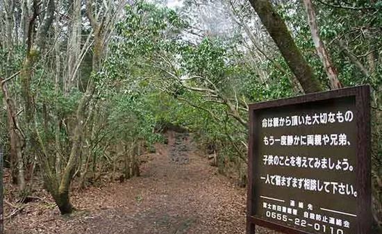 日本500多人选择在同一片森林里自杀之谜