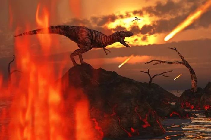 恐龙还活着？专家震惊曝光“演化证据”，地球上的“这个生物”就是唯一幸存者！