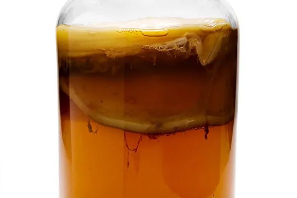科学家借鉴“海宝”造出活的生物材料