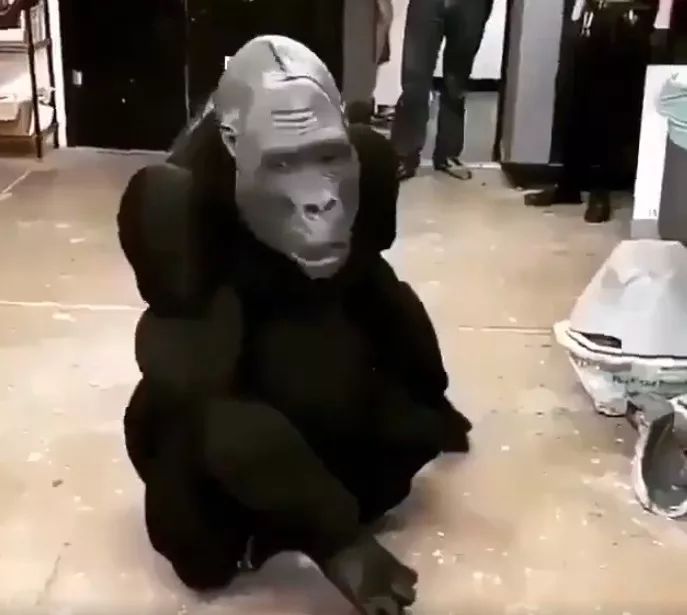 看了发毛！“AI猩猩机器人”似有空洞灵魂，恐怖谷效应让人颤抖