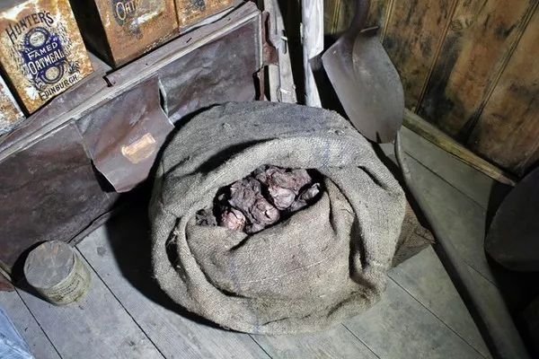南极发现一袋“100年前红洋葱”，研究人员惊：完全没发霉