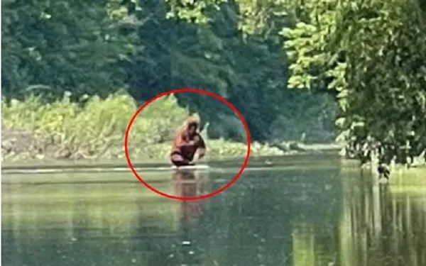 神秘大脚怪是真的！抱小孩渡河画面曝光，FBI首公布40年档案
