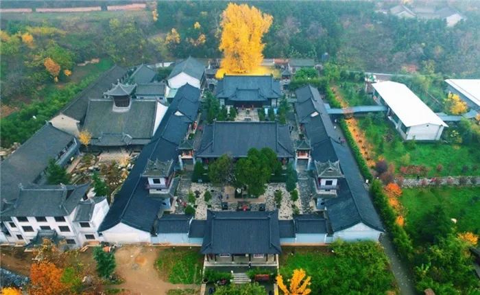 1400年银杏皇帝当年亲手种下满地落叶太美了，记住要预约啊！