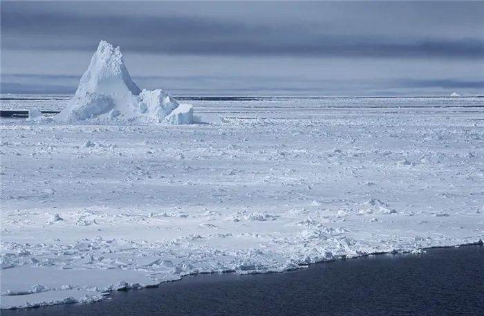 南极冰架900米深处，惊现海绵状神秘物种