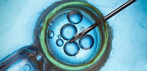 不老不死?日本研究:2050年人类将活到150岁