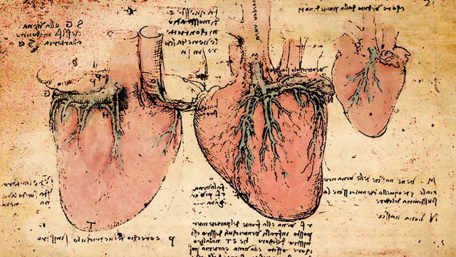 分形论揭达芬奇500年前所绘心脏结构图之谜