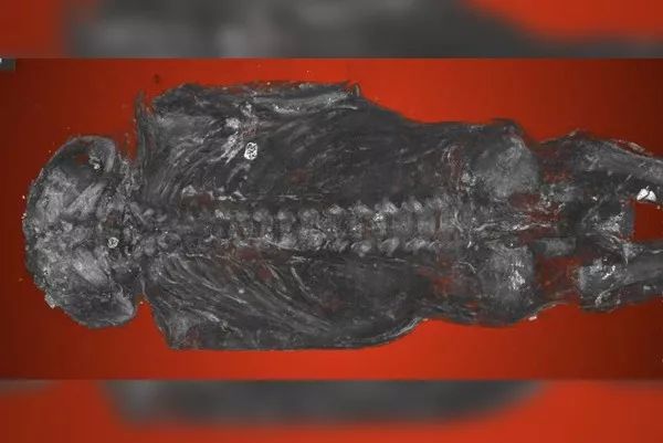 “无脑死胎”被制成木乃伊，古文献记载：具有神秘力量使人麻痹