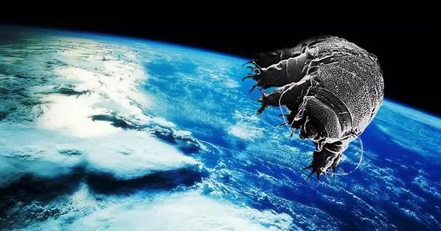 外星会有生命吗_龙有可能是外星生命_外星生物存不存在