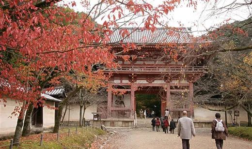上太空拜神?日本将发射“宇宙寺庙”