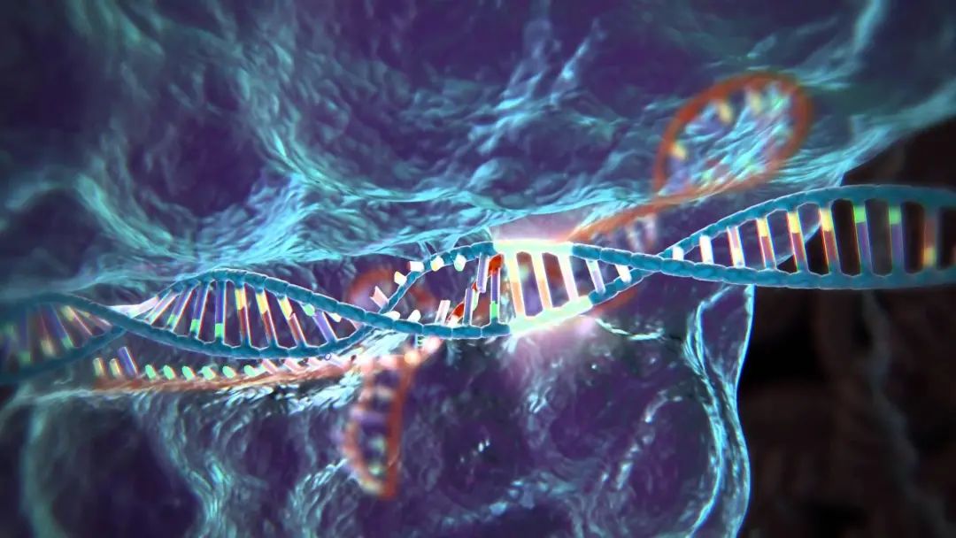 哈佛大学发明RLR新式基因编辑技术