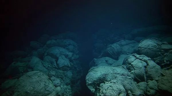你以为海底安静无声？科学家录到“颤栗海神怒吼”解开声音神秘谜团！