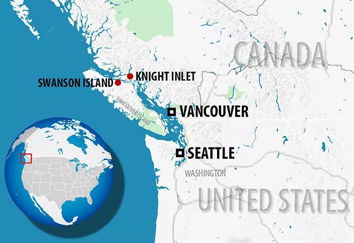 世界末日来了?皮包骨母熊“找不到鱼吃”可怜徘徊,一家3口“饥饿冬眠”网超心疼!