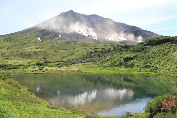 北海道SOS事件未解之谜，巨大的SOS树木符号、诡异的录音