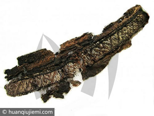 古代维京服装上发现有穆斯林神阿拉的阿拉伯文字