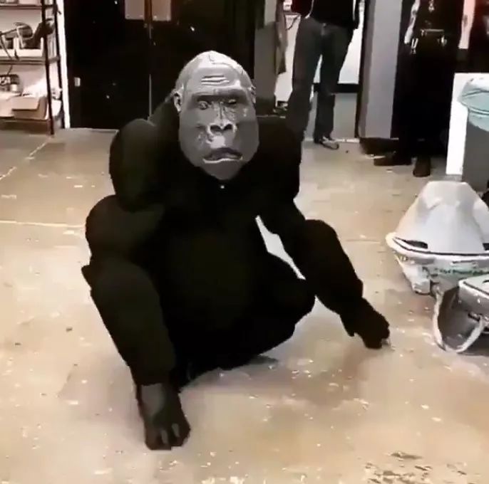 看了发毛！“AI猩猩机器人”似有空洞灵魂，恐怖谷效应让人颤抖