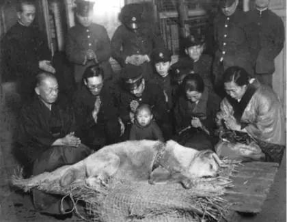 九个著名的奉献与忠诚的小故事！