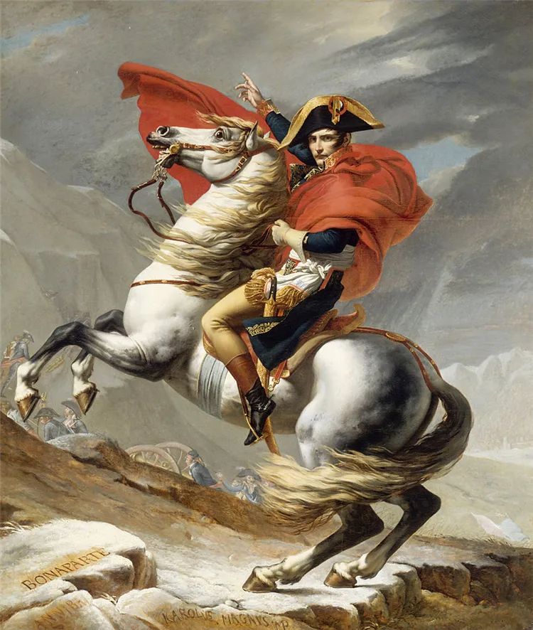 拿破仑的丁丁 命根子图片